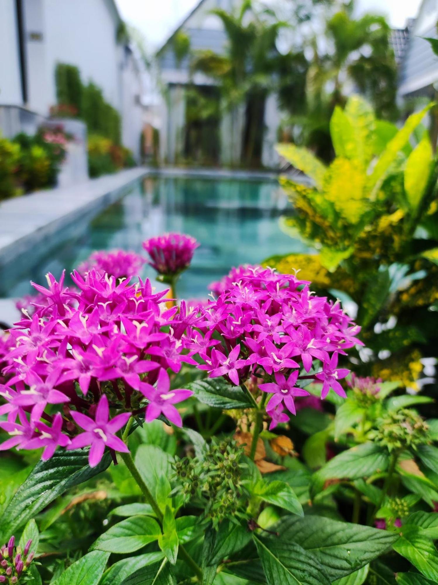 Ngoc Trai Xanh Bungalow Phú Quốc-sziget Kültér fotó