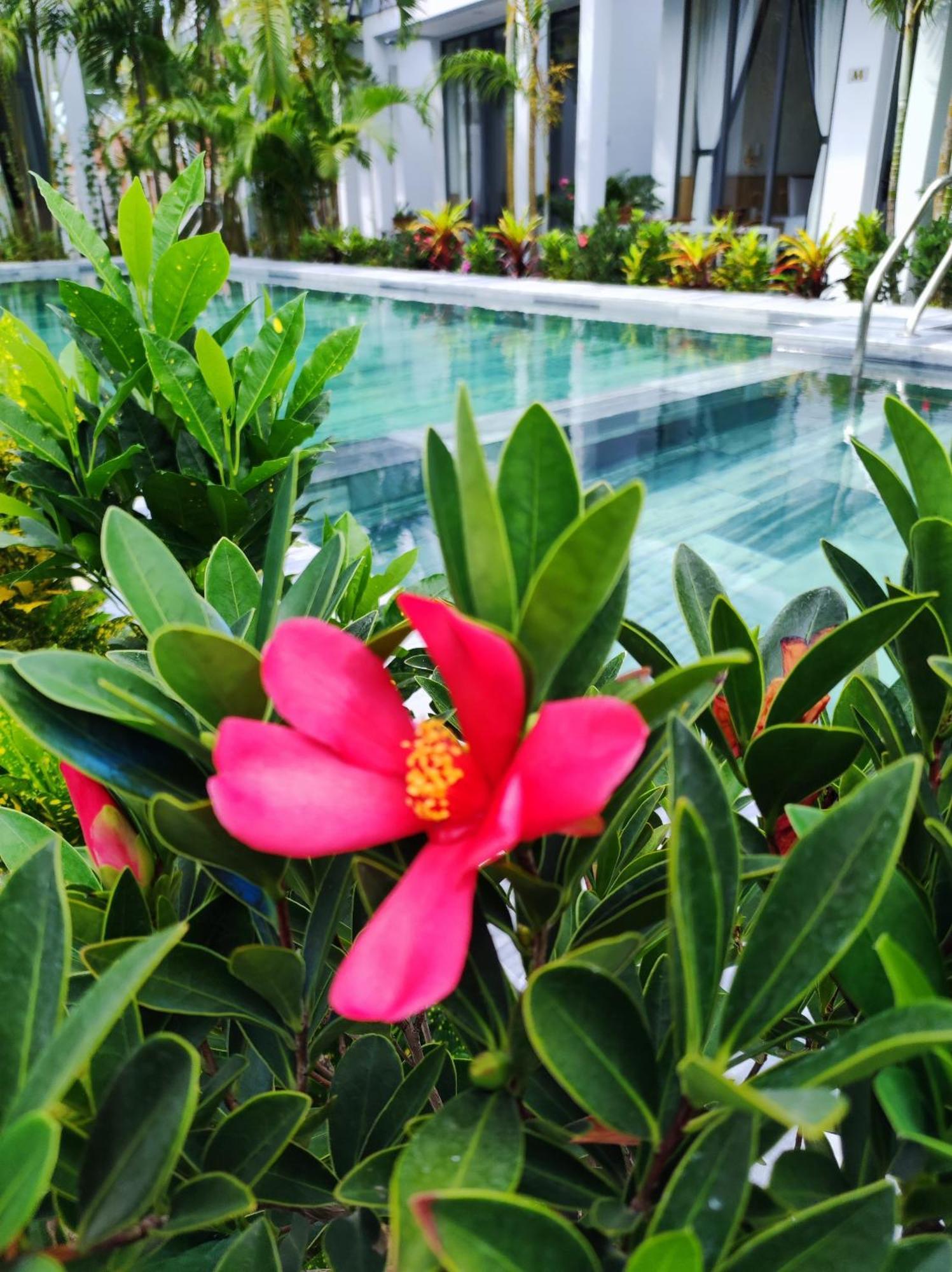 Ngoc Trai Xanh Bungalow Phú Quốc-sziget Kültér fotó