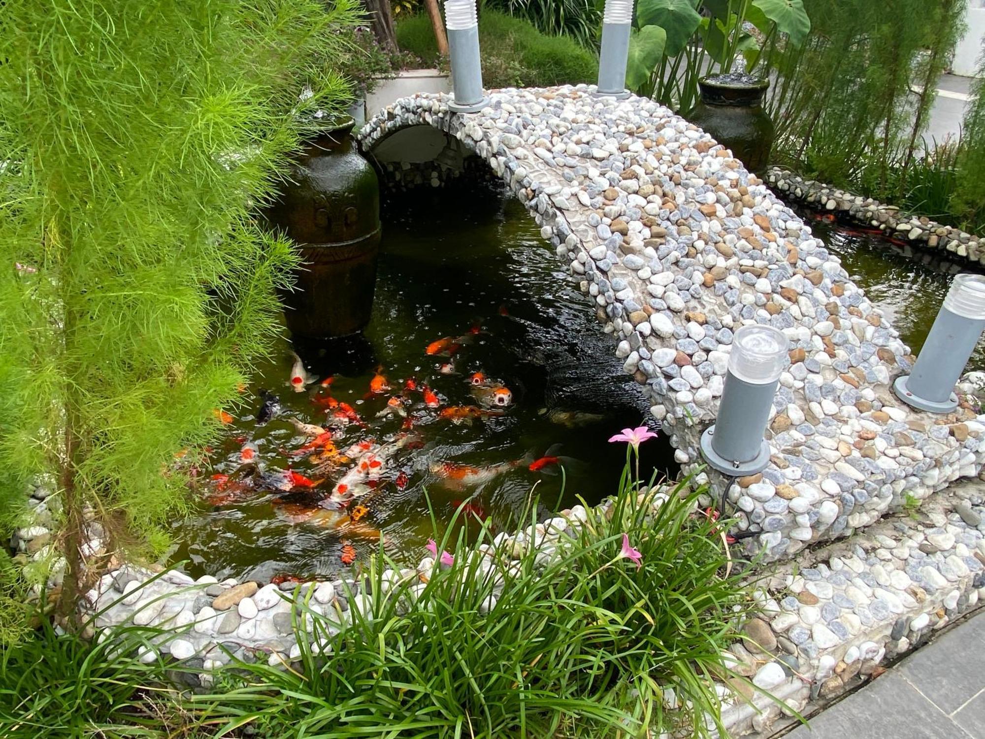 Ngoc Trai Xanh Bungalow Phú Quốc-sziget Kültér fotó